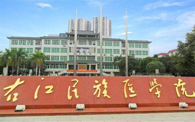 右江医学院门头.jpg